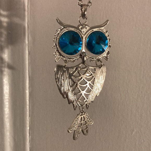 Brand New in Box Absolutely Gorgeous Infinity Slip On Blue Eyes Owl Necklace - Picture 7 of 17